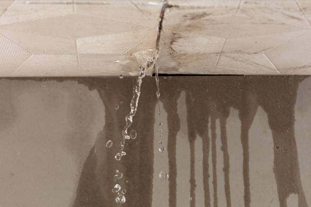 Professional Water Damage Repair technician working in Kansas, KS